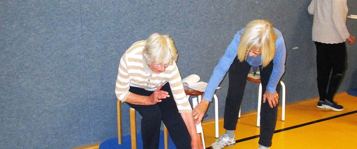 Alltags-Fitness-Test (AFT)