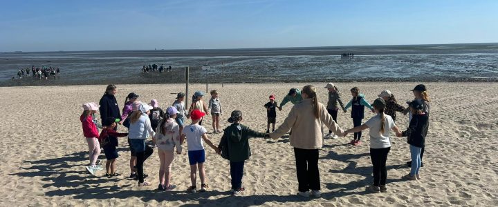 Teamwork im Sand. Erlebnispädagogik am Strand von Schillig.